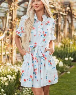 Sky Blue Stripe Floral Pattern Ruffle Short Sleeve Belted Mini Dress