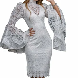 Explosion Slim Banquet Evening Women’s Lace Embroidery Flared Sleeve