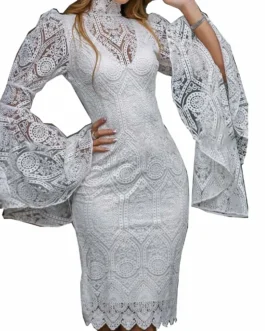 Explosion Slim Banquet Evening Women’s Lace Embroidery Flared Sleeve