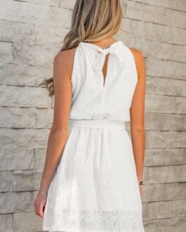 White Lace Sleeveless Knot Hollow Out Back Tied Waist Mini Dress