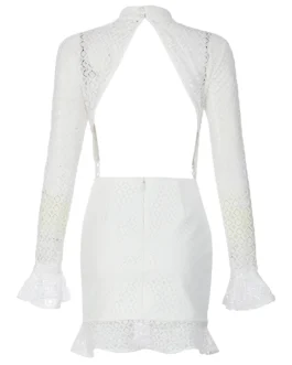 Mess Round Neck Long Sleeve Cut Out Hip Party Dress