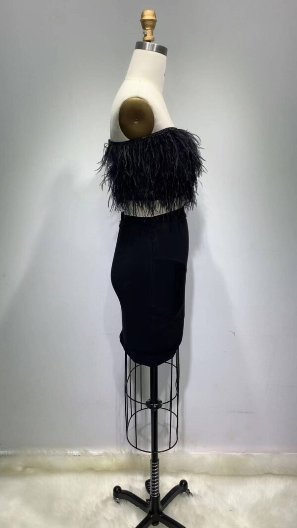 Two Pieces Set Black Mini Skirt With Short Feathers Top Set - Image 2