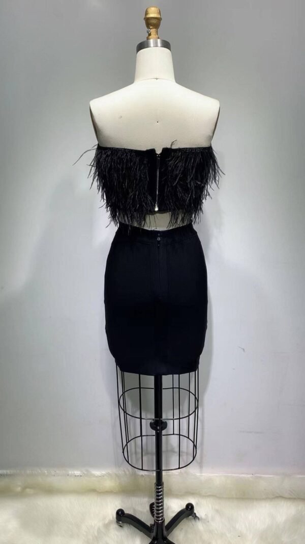 Two Pieces Set Black Mini Skirt With Short Feathers Top Set - Image 3