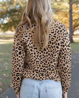 Parchment Leopard Polo Collar V Neck Pullover Top
