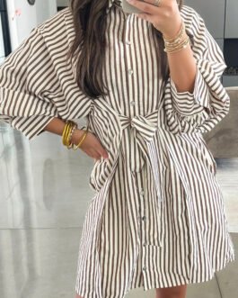 Brown Stripe Knot Waist Puff Sleeve Button Down Mini Shirt Dress