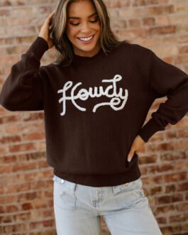 Chicory Coffee Howdy Embroidered Graphic Western Sweater