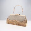 Evening Fringe Bag – Ladies Banquet All-Match Clutch