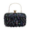 Vintage Embroidered Evening Bag – Ladies Banquet Clutch