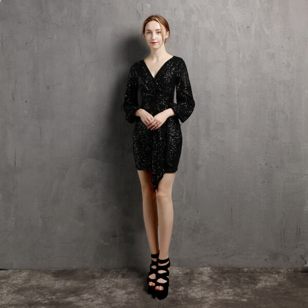 Little Evening Party Dress – Luxury Nightclub Dinner Glam Dress