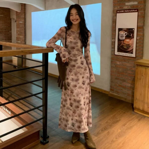 French Rose Print Mesh Two-Piece Dress for Women