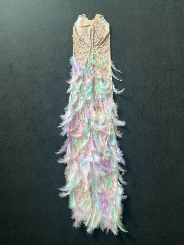 New Model Colorful Feather Rhinestone Elastic Wrap Hip Long Dress