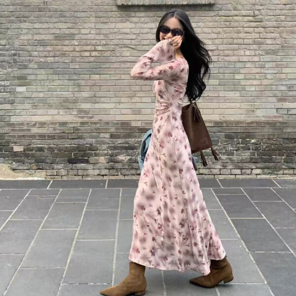 French Rose Print Mesh Two-Piece Dress for Women