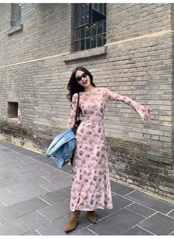 French Rose Print Mesh Two-Piece Dress for Women