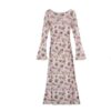 French Rose Print Mesh Two-Piece Dress for Women