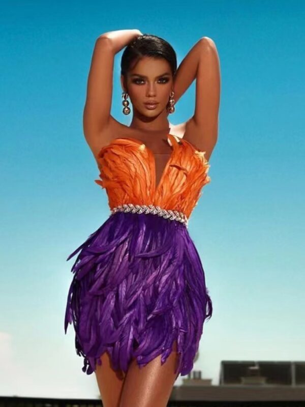 High Waist Feather Crystal Design Mini Dress