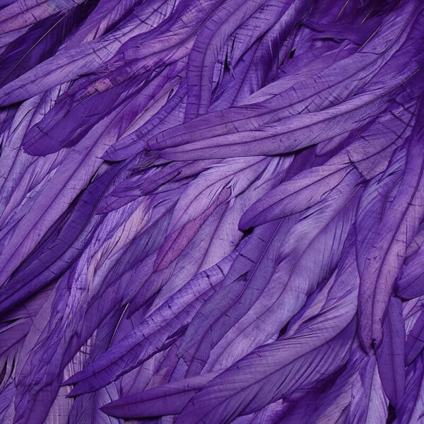 High Waist Feather Crystal Design Mini Dress