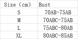 Fashion New Bikini Swimsuit For Women