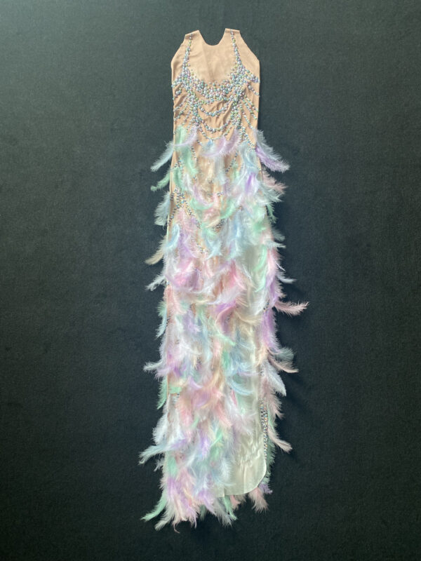 New Model Colorful Feather Rhinestone Elastic Wrap Hip Long Dress