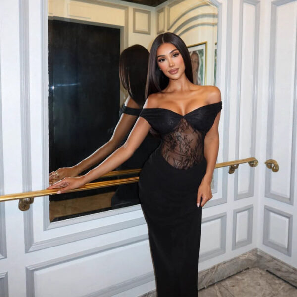 French-style Sexy Lace-panelled Bodycon Sheath Dress
