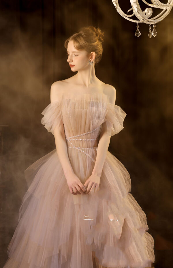 Evening Dress Salute Wine Dress Light Luxury Small