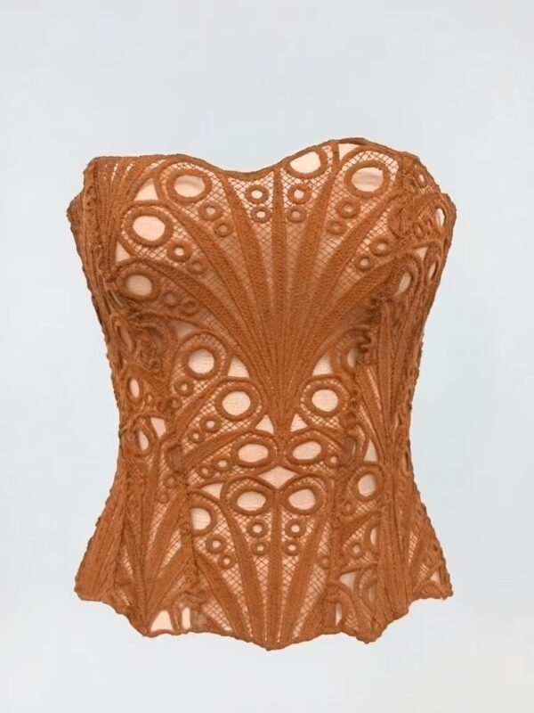 Hollow Corset Crop Top – Sexy Lace Party Wear