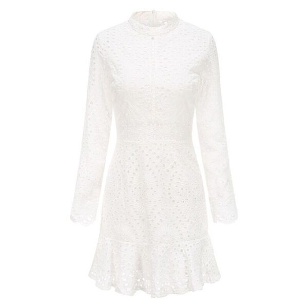 Elegant White Lace Embroidery Mini Party Dress