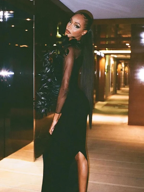 Feather Design Long Sleeve Soft Velvet Dress