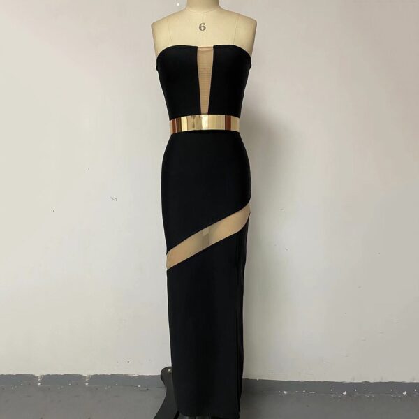 backless mesh transparent bandage dress