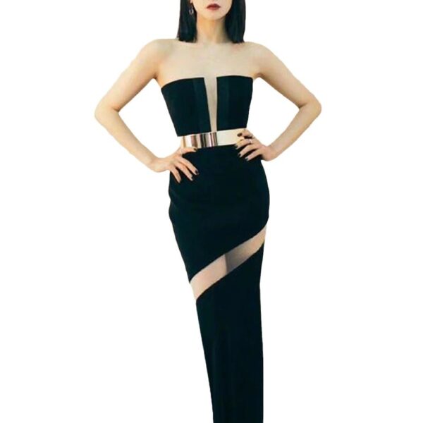 backless mesh transparent bandage dress